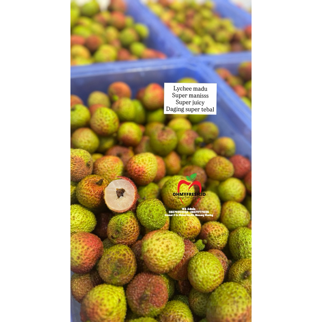 Leci Madu Super Manis Premium Import