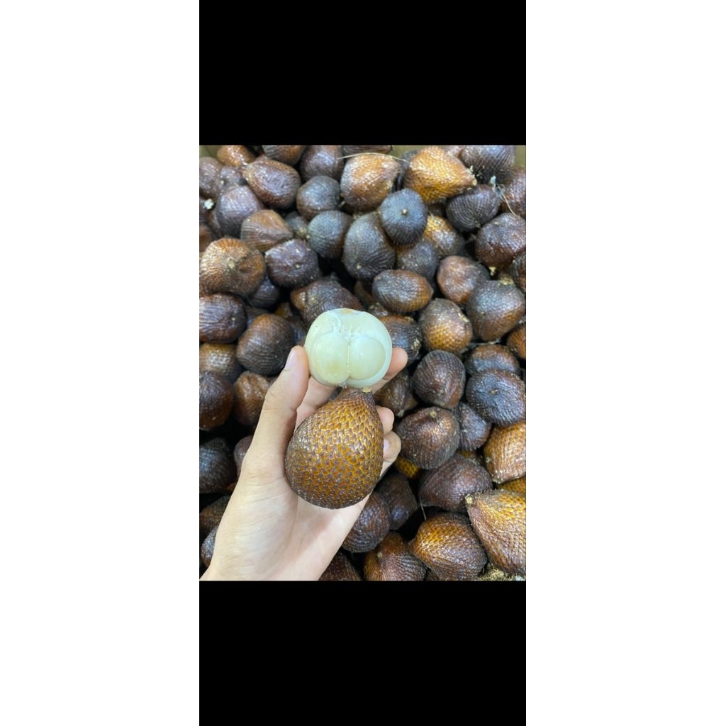 SALAK GULA PASIR BALI . SALAK ENAK MURAH