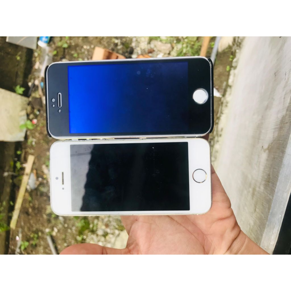 iPhone 5s minus,stuck logo Apple