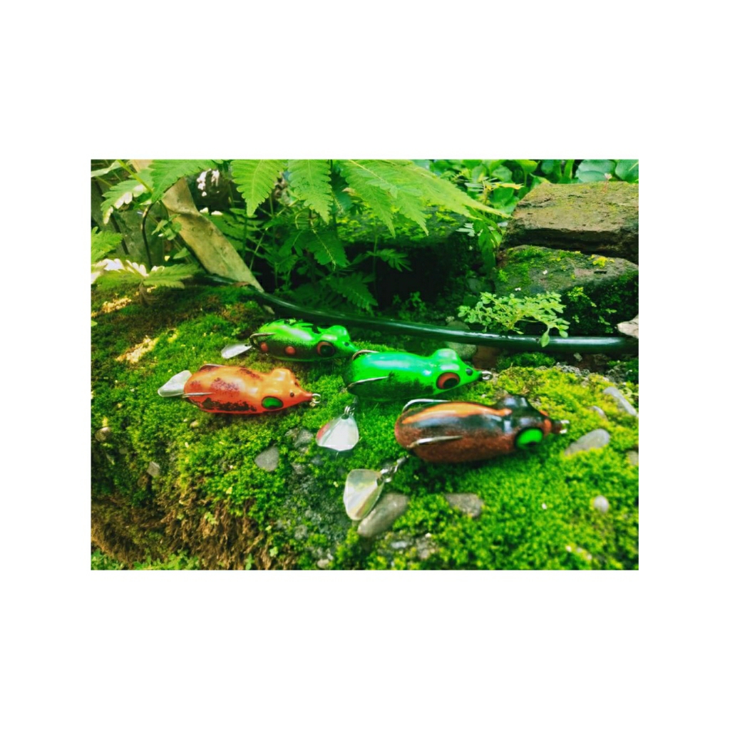 sofrog