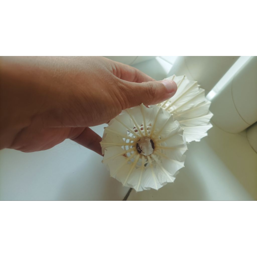 Shuttlecock putihan atau polos