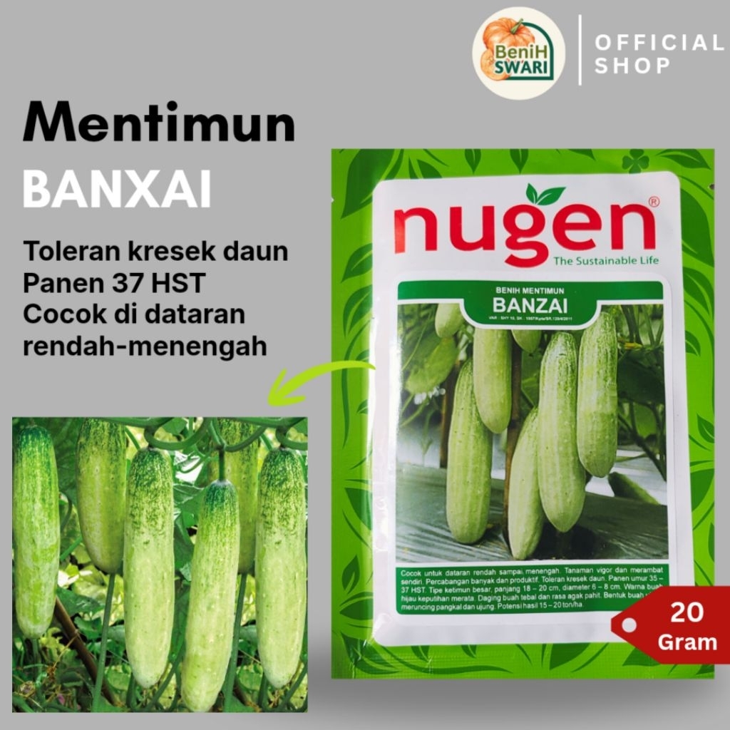 20 Gram Benih Timun BANZAI Percabangan Banyak dan Produktif - Original Pack