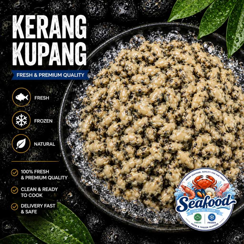 Kerang Kupang Fresh Frozen 1Kg - Berkualitas - Bergaransi