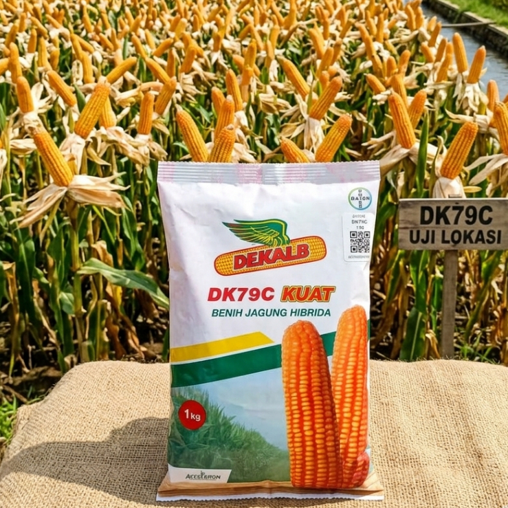 Benih Jagung DEKALB DK79C Kemasan 1 Kg EXP 09 2026
