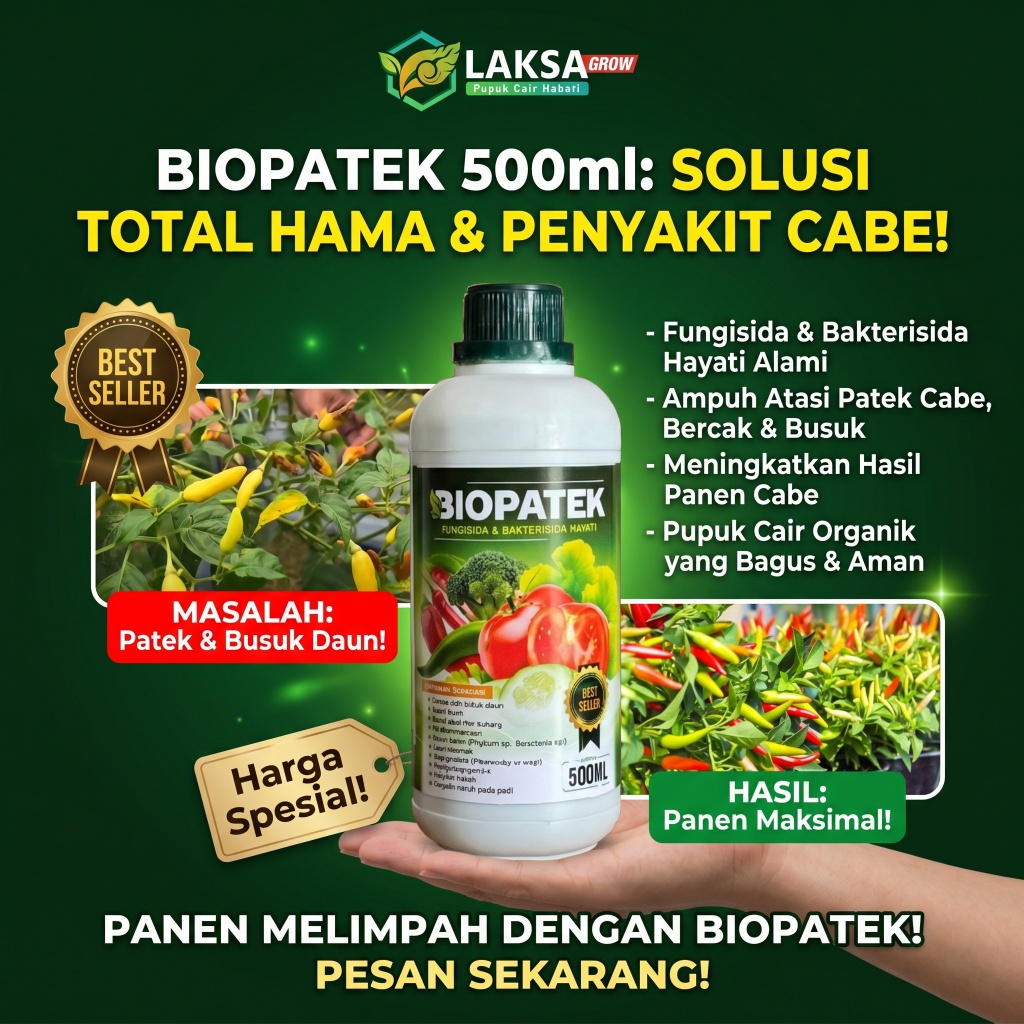 PROMO fungisida patek cabe cair terbaik obat patek cabe organik bakterisida cabe bercak daun obat ja