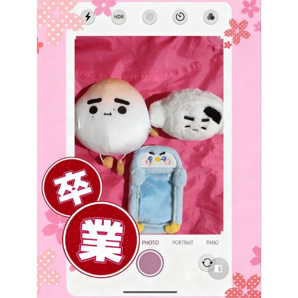 Doll Sunghoon Enhypen Hoonigiri Cahol Sunghoon bulu