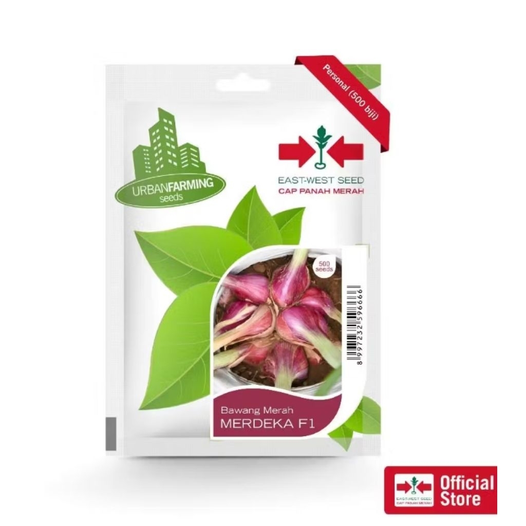 MERDEKA 500 Biji Seed - Bibit Bawang Merah ( True Shllod Seed ) TSS - Benih Unggul Cap Panah Merah