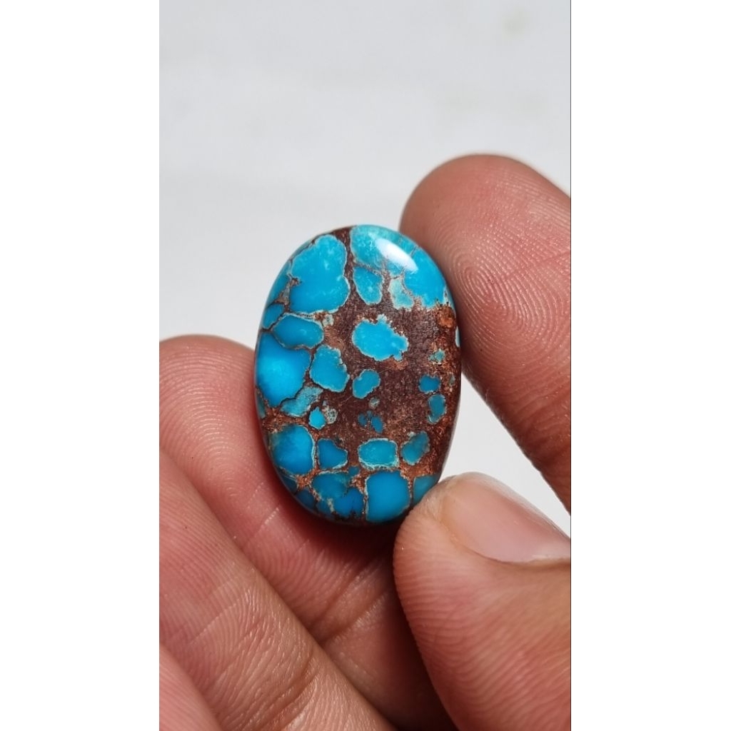Natural pirus mesir