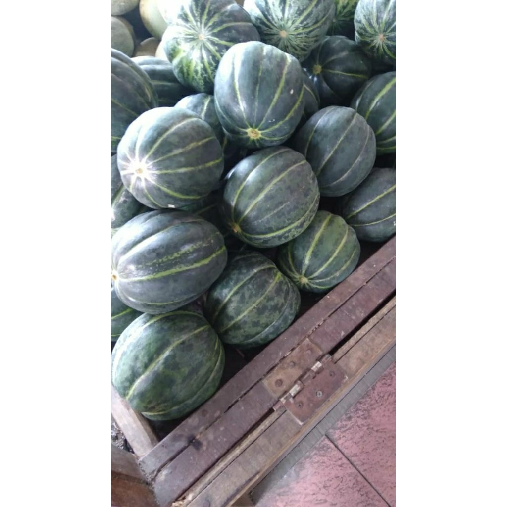 BUAH BLEWAH BALEWAH BELEWAH SEGAR