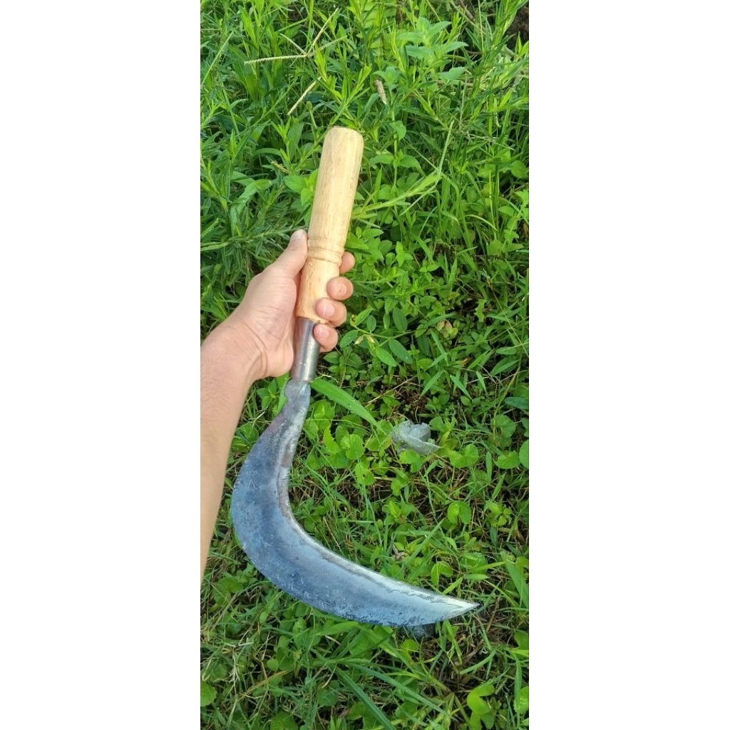sabit baja isen