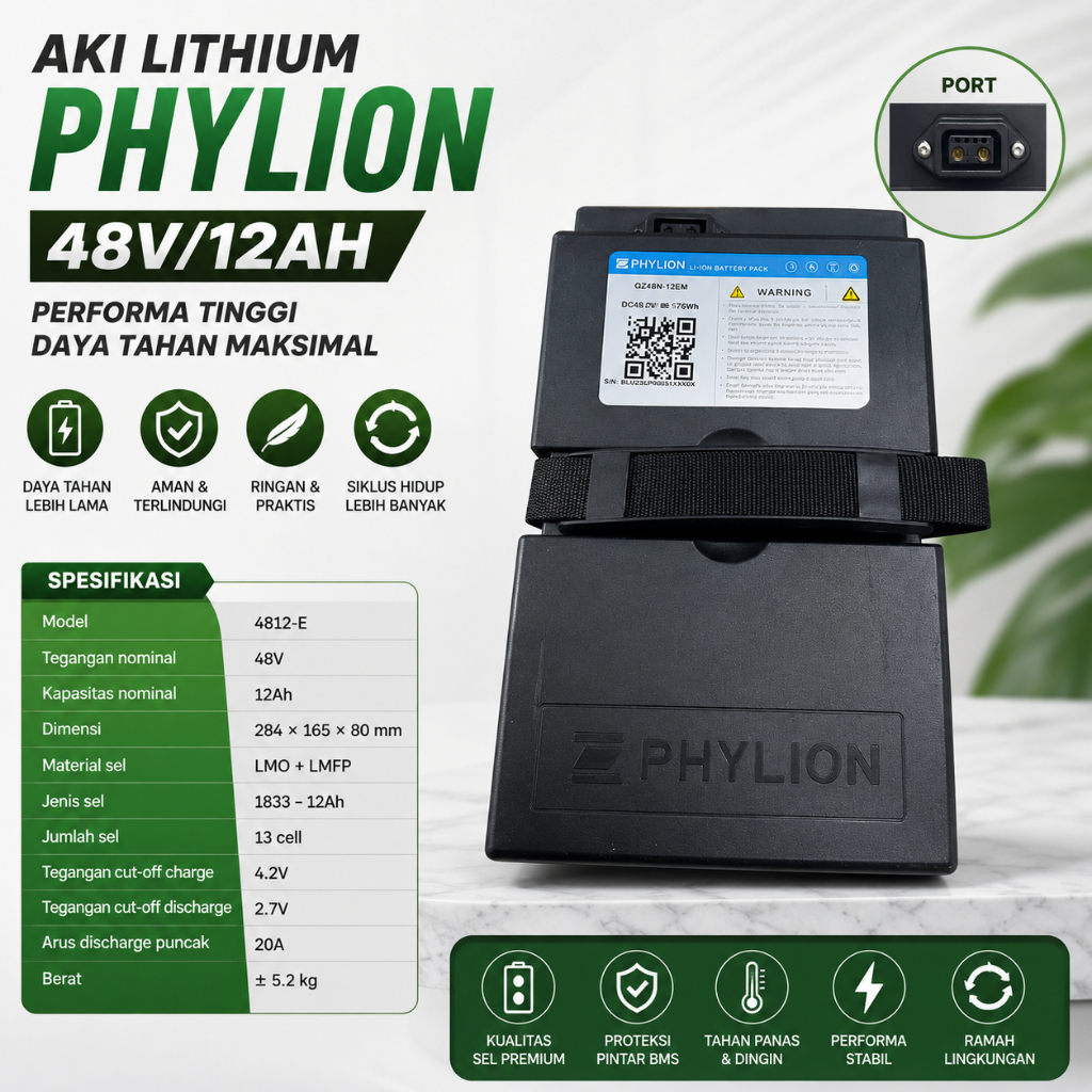 Aki Lithium Phylion 48v/12ah - Ebike UNIVERSAL || ORIGINAL PHYLION