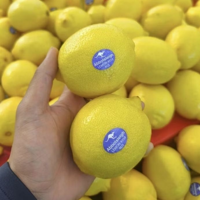 Buah Lemon Australia Fresh / Lemon Import Australia 500 gr