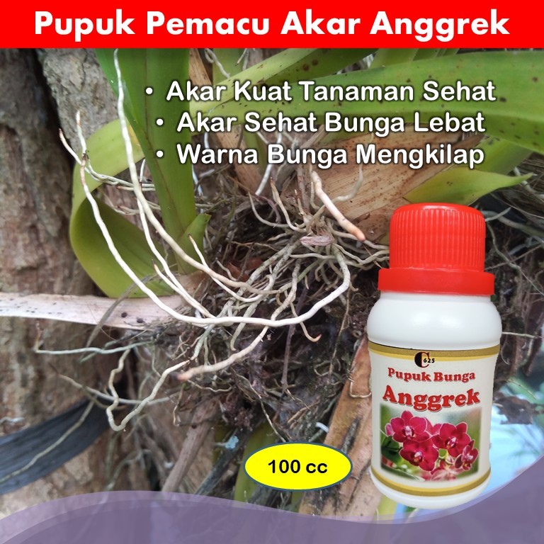 Pupuk Penumbuh Akar Anggrek / Pupuk Penyubur Anggrek / Pupuk Organik Cair Anggrek / Pupuk Anggrek Ce