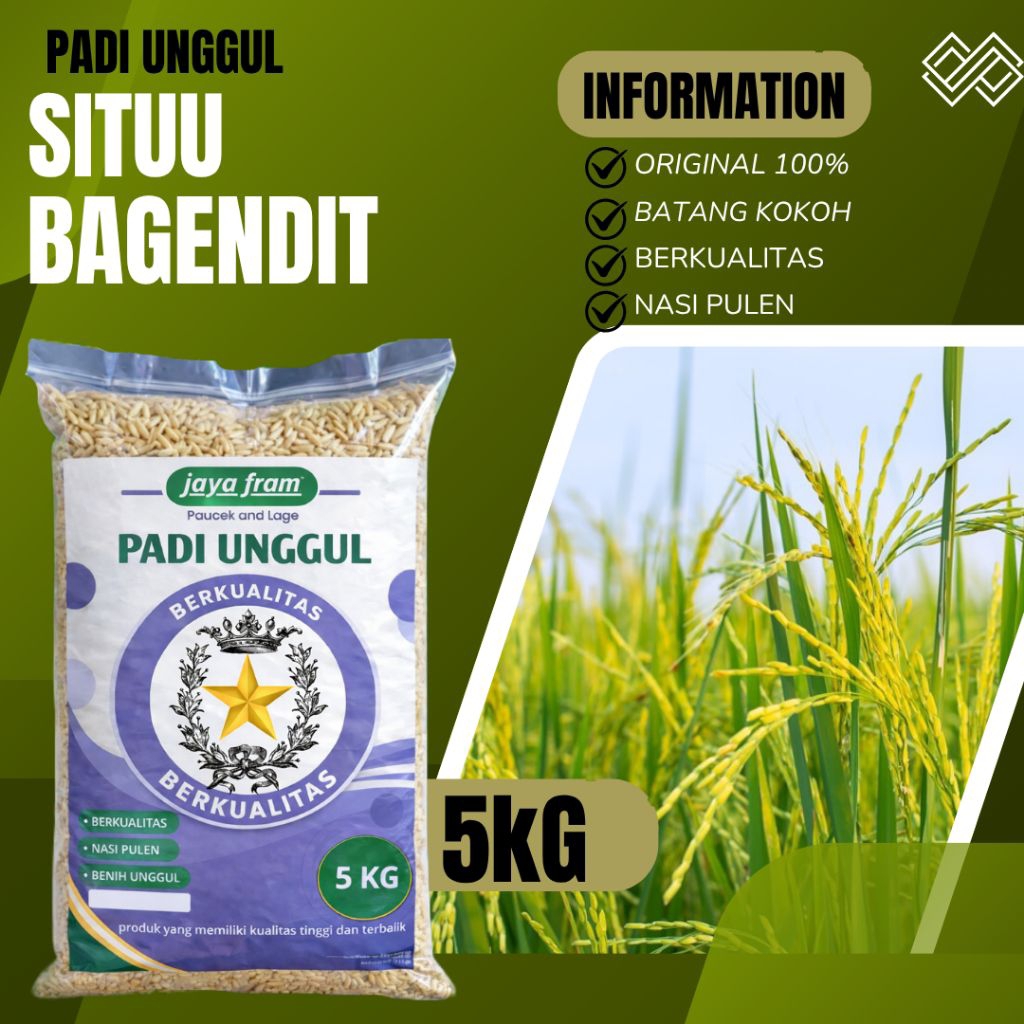 Benih padi unggul Situ Bagendit kemasan 5kg berkualitas