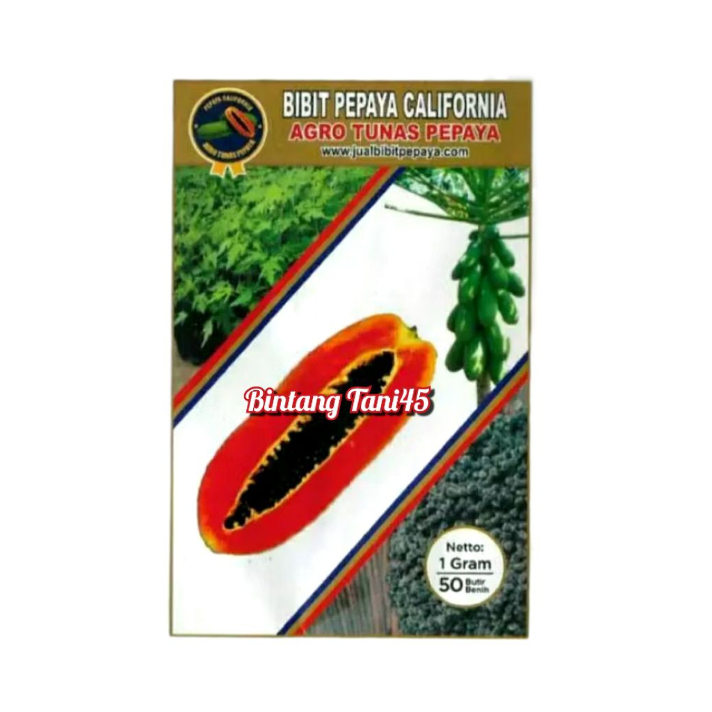 50 Butir (1 Gram) Benih Pepaya California Exp. 2026 Agro Tunas Pepaya