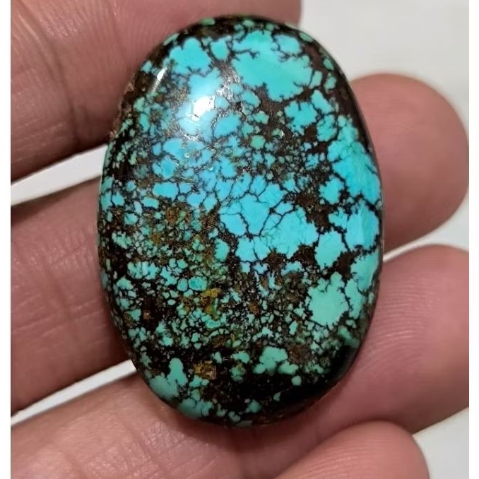 Pirus Persia lawasan