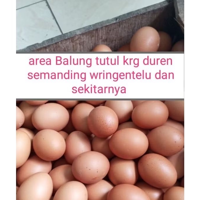 Telur Ayam Fresh Balung 1kilo