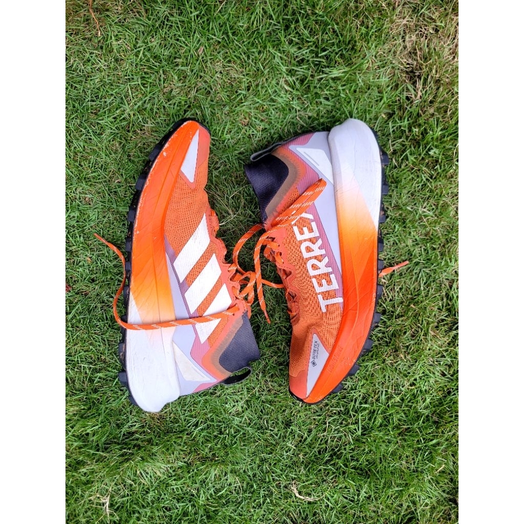 adidas terrex agravic gtx (second) size 41