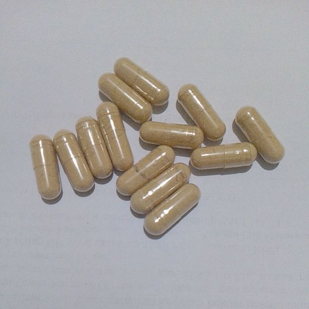 Tribulus Terrestris bubuk 500 mg kapsul masa otot