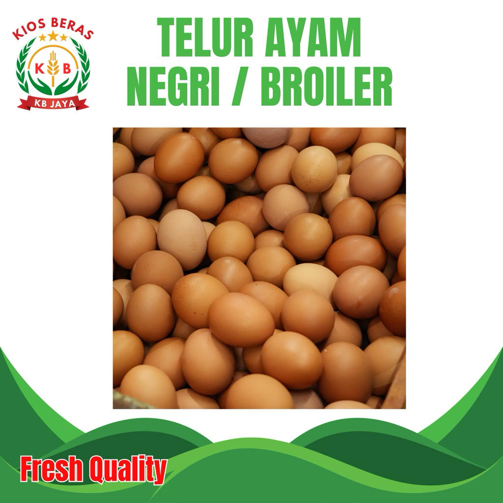 Telur Ayam Broiler | Telur Ayam Negri