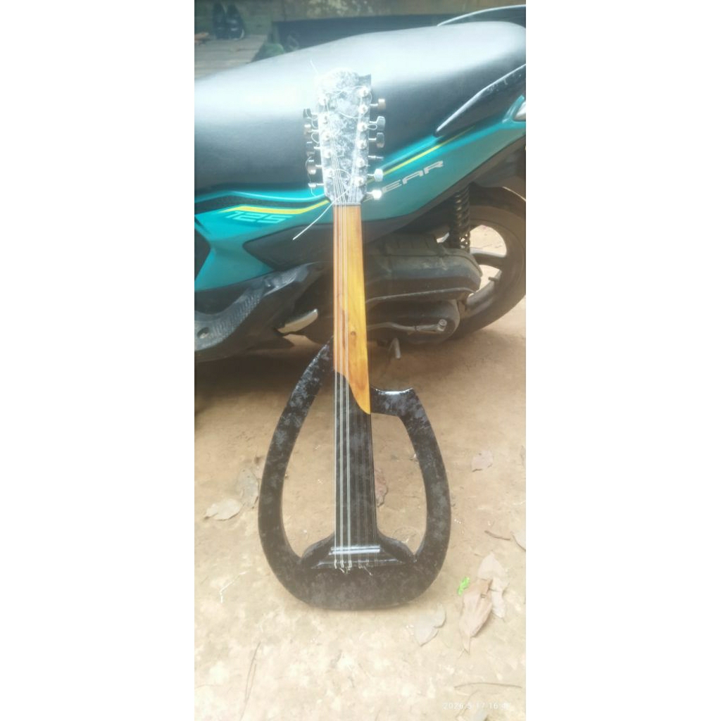 Gambus/Oud eletrik