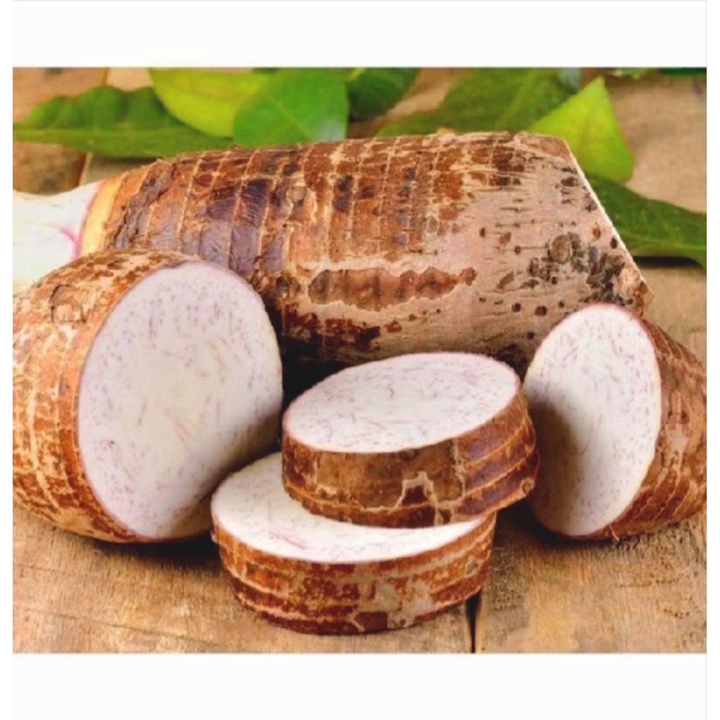 Promo COD Talas Bogor Mentah 1 kg - Empuk, Tidak Gatal, Langsung dari Petani S.K