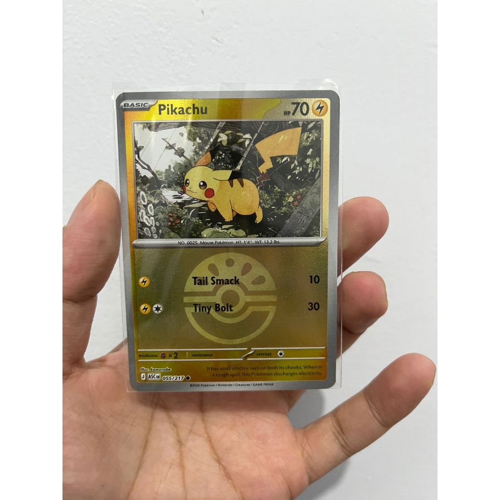 Kartu Pokemon TCG English | Pikachu & Raichu