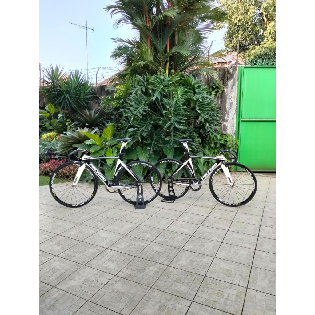 Sepeda Polygon Fixie Criterium Full Bike TR800 Carbon Bekas
