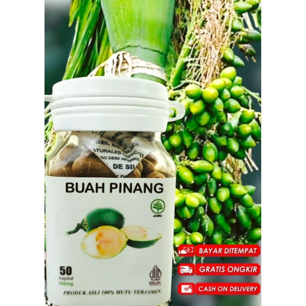 COD Buah Pinang Muda - Kapsul Pinang Asli Isi 50
