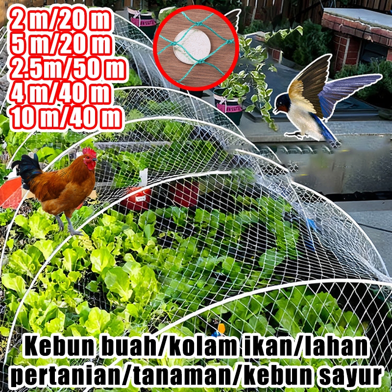 Jaring Ayam 3m x 25-50 Meter Jaring Pagar Ayam JARING KANDANG JARING AYAM MURAH JARING AYAM METERAN 