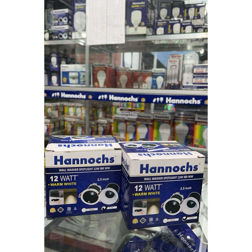 Wall Washer spotlight 12watt Hannochs