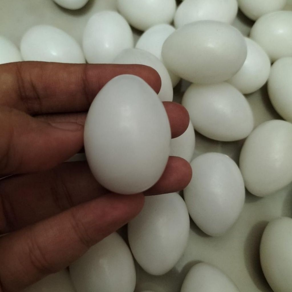 paket hemat 5 telur ayam fertil Kate batik siap untuk di tetaskan petarung cocok untuk hiasan kandan