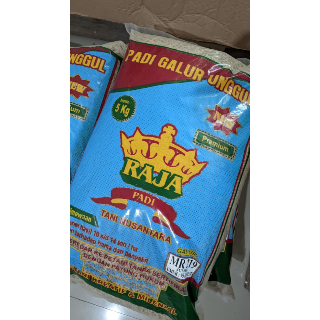 Benih Padi MR Raja 219