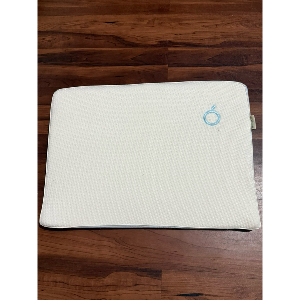 [PRELOVED] Dooglee - Wedge Pillow (Bantal Bayi Anti Kolik)