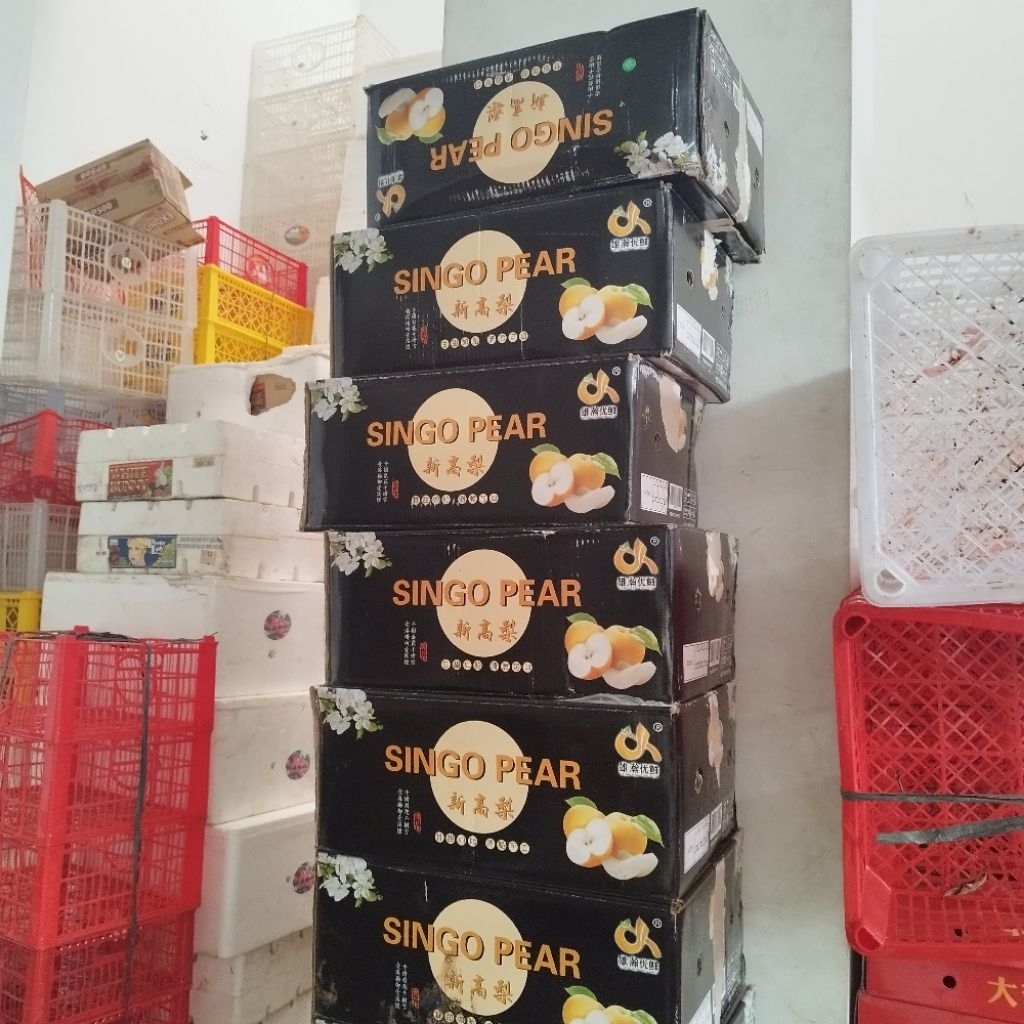 Kardus Bekas Buah Singo Pear Box Besar Tebal Packaging Murah