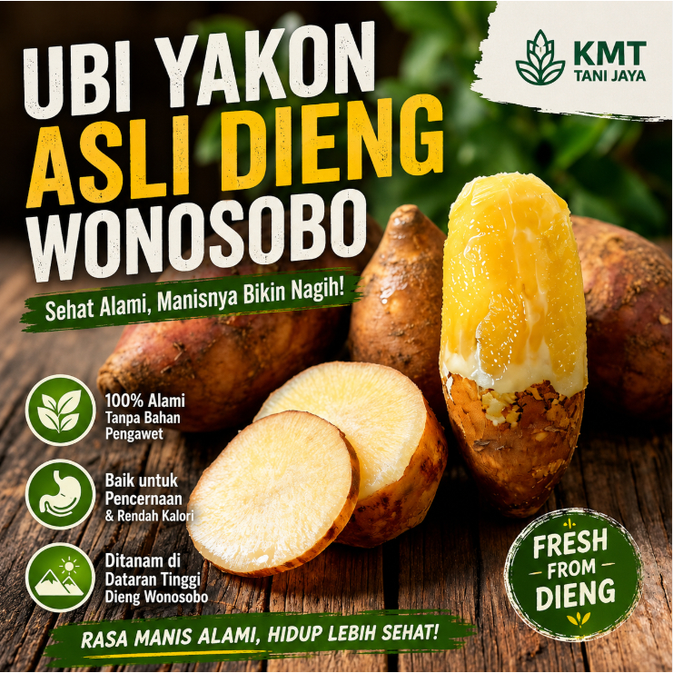 KMT - Ubi Yakon Asli Wonosobo 1kg Dieng, Umbi Yacon Kuning Original, Diet Sehat