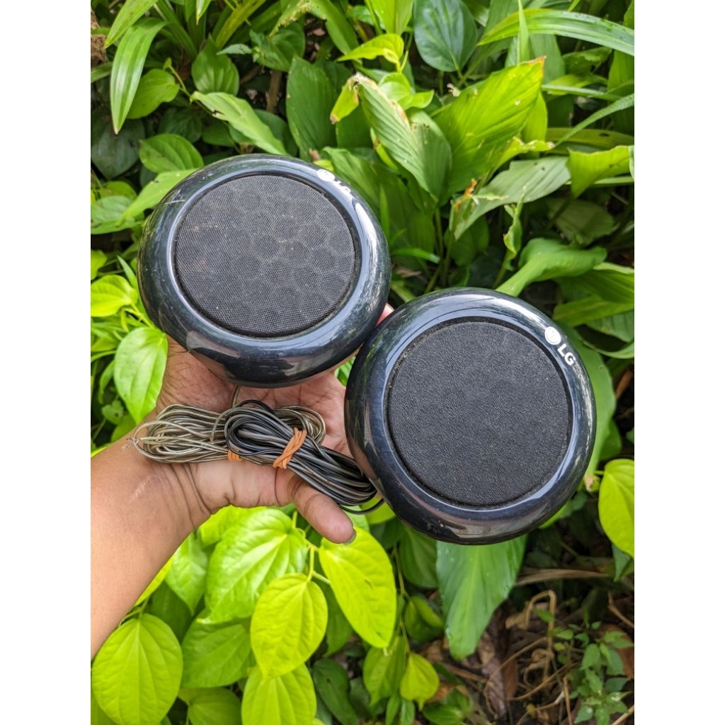 speaker pasif satelit LG