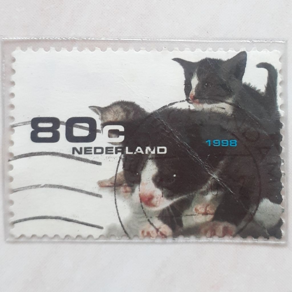 Perangko Belanda Pets (Kittens (Felis silvestris catus)) Tahun 1998