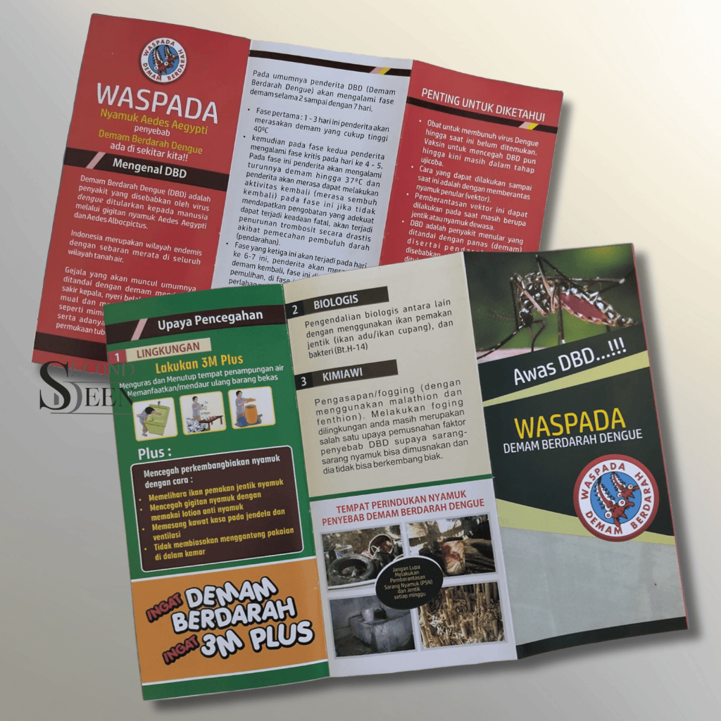 Leaflet DBD | Kenali & Berantas DBD | Brosur Edukasi Kesehatan Lingkungan