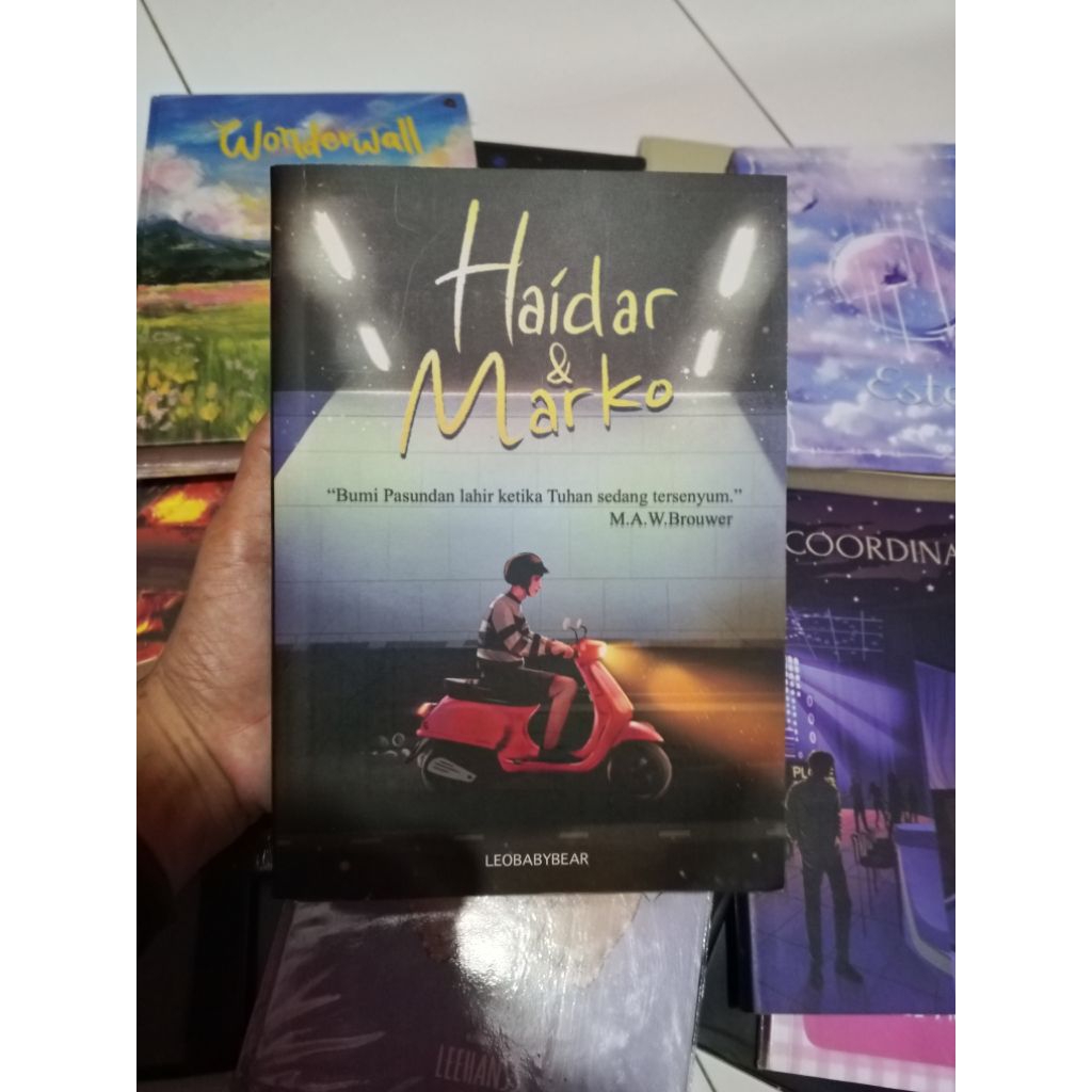 READY STOK Novel Markhyuck Nomin Balada Asdos dan Haidar Marko Original