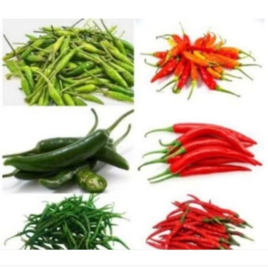 Aneka cabe 100gram pasar pagi flamboyan Pontianak
