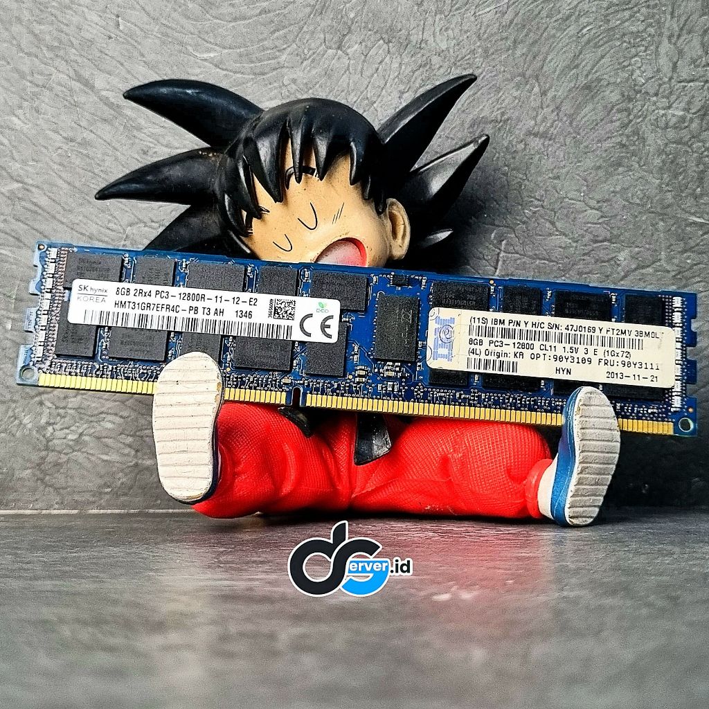 Memory Server 8GB DDR3 12800R 2Rx4 PC3-12800R SKhynix