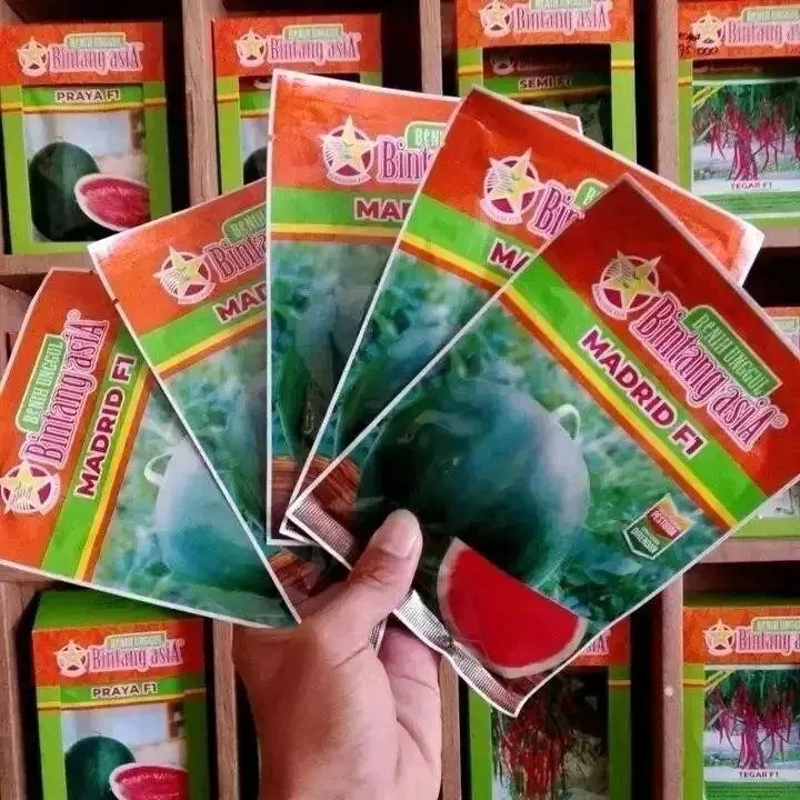 Bibit Semangka non biji MADRID F1 20 Gram - Bintang Asia