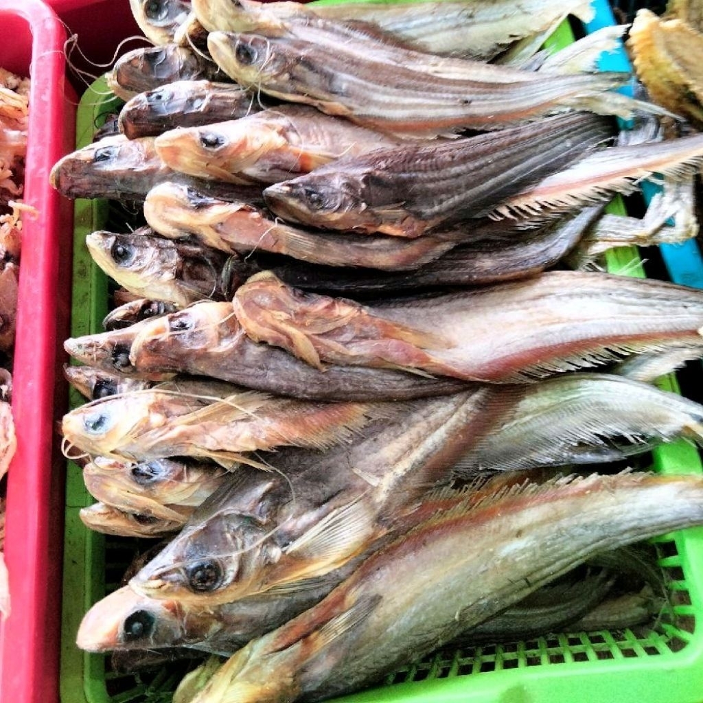 Ikan Asin Lais Kalimantan / Ikan Lais Asin / Ikan Asin Tembiring / Ikan Asin Laes / Ikan Asin Kalima