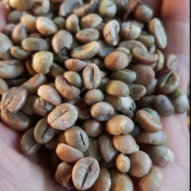 Kopi Robusta Asalan Kerinci Asli | Biji Kopi Robusta Aroma Kuat Fresh Roast