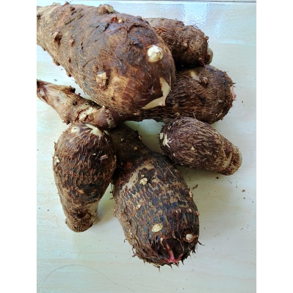ubi talas/ talas kimpul talas pulen 1 kg