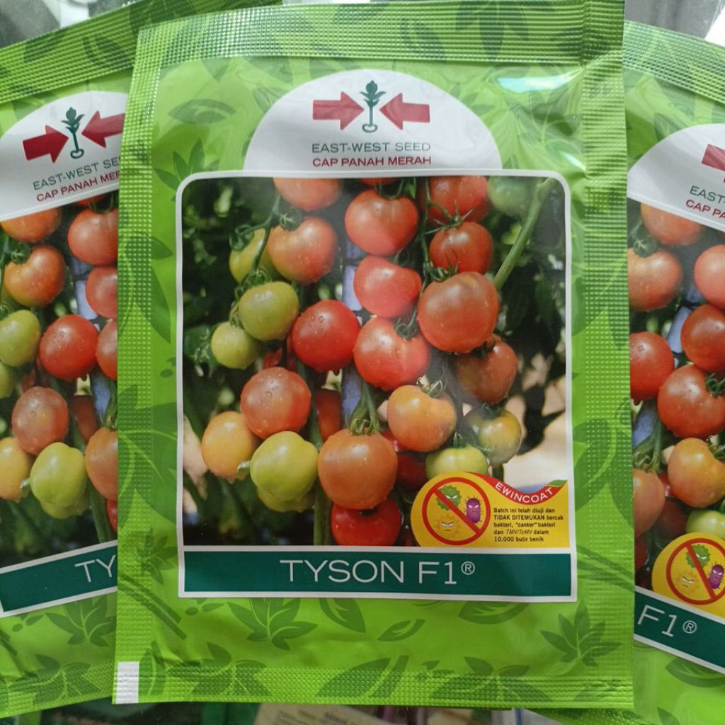 Tomat TYSON F1 - Bibit Tomat sayur unggul