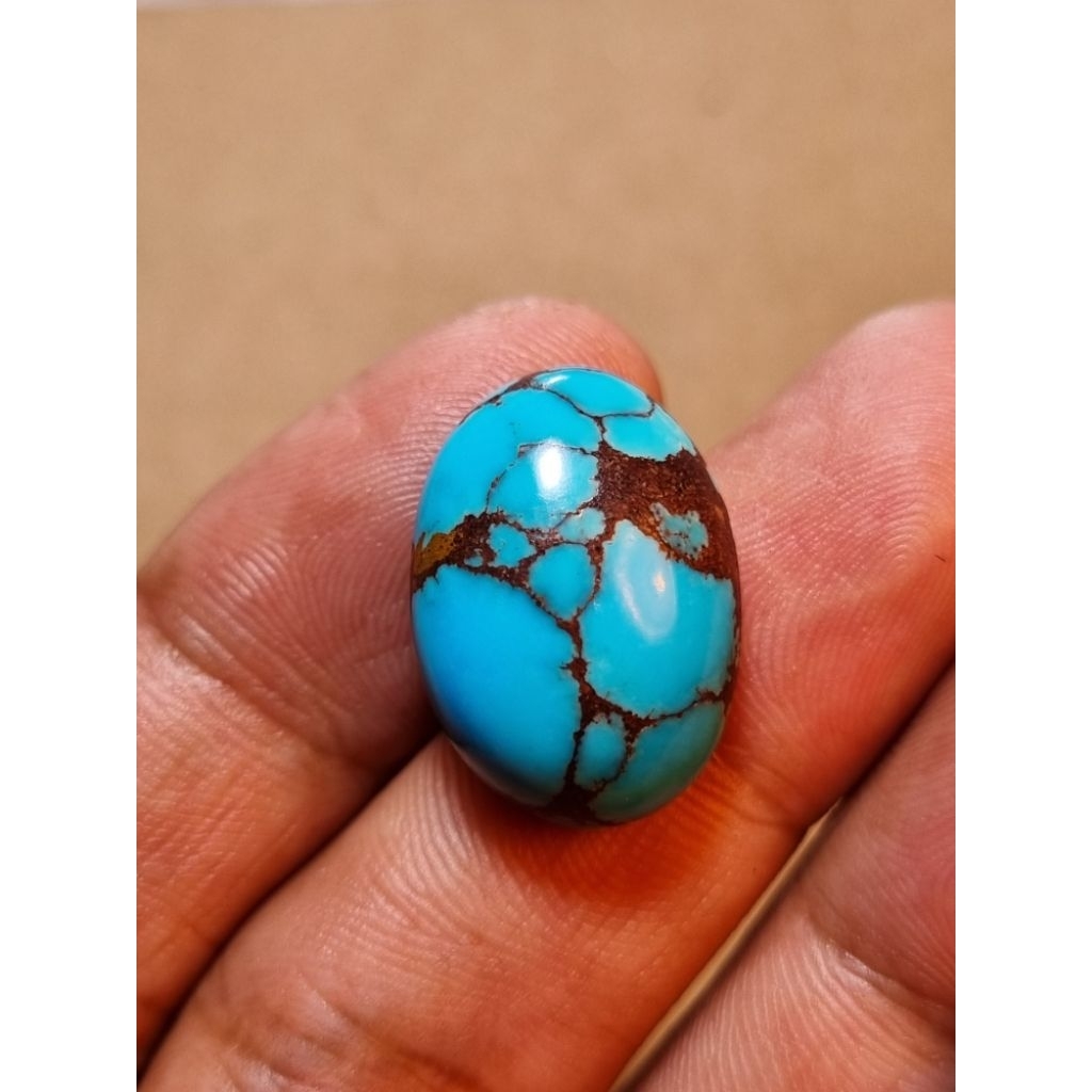 natural pirus mesir blue fancy