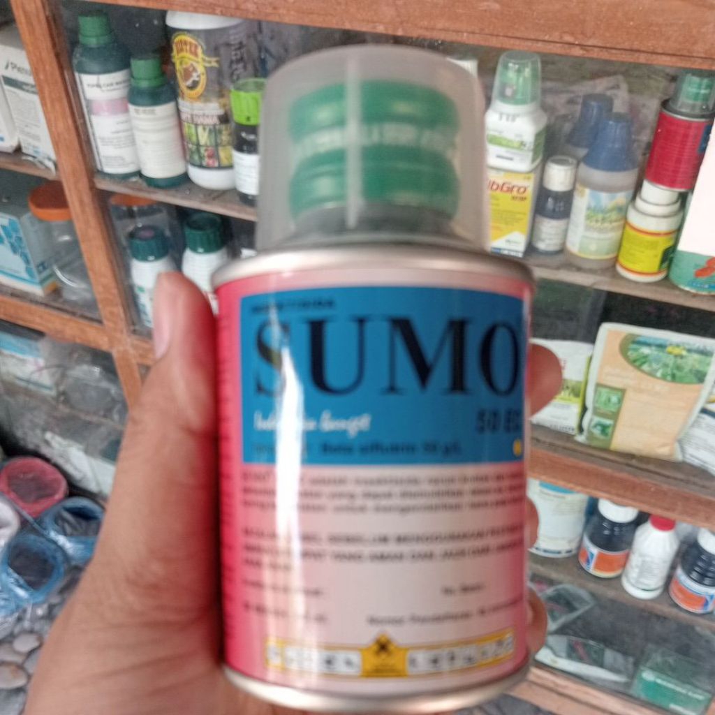 sumo 80ml
