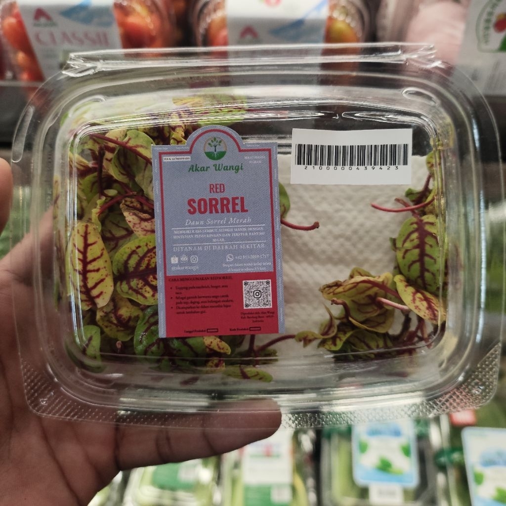 Akar Wangi Red Sorrel Pack - Daun Sorrel Merah Segar Premium Microgreens